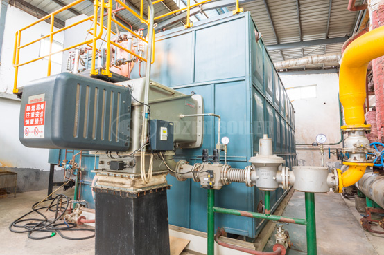 20噸SZS冷凝式燃?xì)庹羝仩t項目