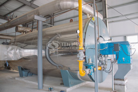 用心成就專(zhuān)業(yè) 中正鍋爐為猛獅能源成功定制解決方案