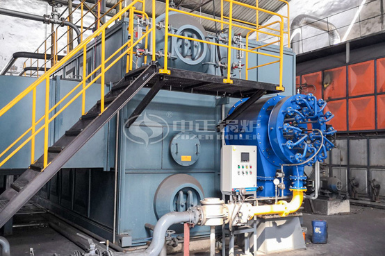 聯(lián)華染整25噸SZS系列環(huán)保型燃?xì)庹羝仩t項目